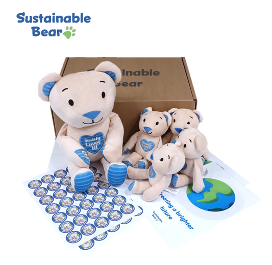 Sustainable Bear™ Classroom Workshop pack